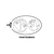 Glow - Stencil para Maquillaje Artistico - comprar online