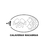 Glow - Stencil para Maquillaje Artistico - Casiopea Beauty Store