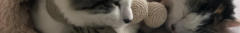 Banner de la categoría DESCANSO