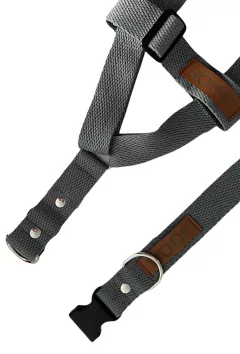 KIT PASEO en internet