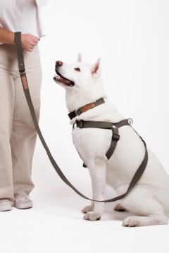 ARNÉS CHUECA - tienda online