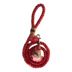 CORREAS RAMON en internet