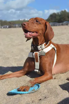 KIT PASEO - tienda online