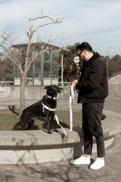 ARNÉS ANTI TIRON GALA