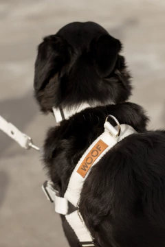 ARNÉS ANTI TIRON GALA - comprar online