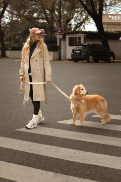 ARNÉS ANTI TIRON GALA - Woof