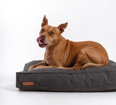 CAMA JACK - comprar online