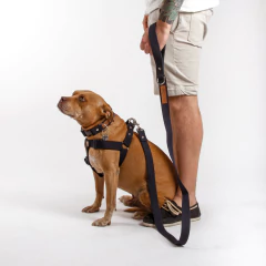 Imagen de CORREA MALAIKA