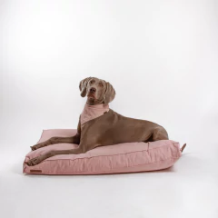CAMA JACK