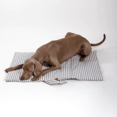 MANTA WINCA - comprar online