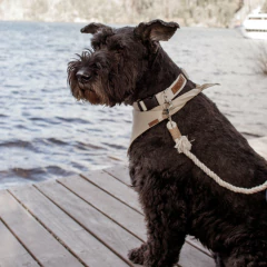 COMBO COOPER en internet