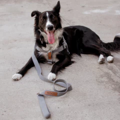 CORREA MALAIKA - comprar online