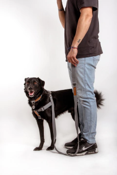 KIT PASEO - comprar online