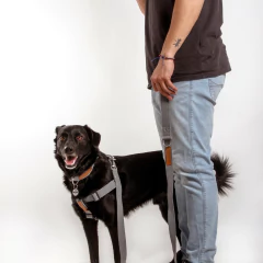 COLLAR NERÓN - comprar online