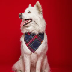 PAÑUELOS TEO ESTAMPADOS - comprar online