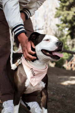 PAÑUELOS PERSONALIZADOS