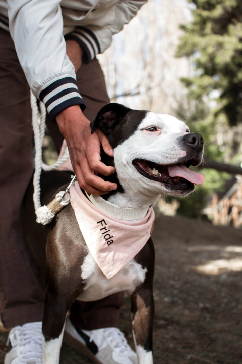 PAÑUELOS PERSONALIZADOS