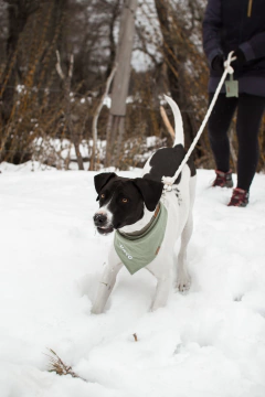 COMBO COOPER - tienda online