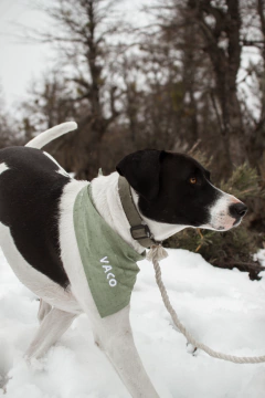 PAÑUELOS PERSONALIZADOS - comprar online