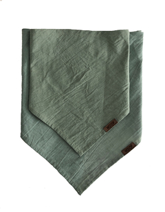 PAÑUELO TOMY- Talle S - Woof