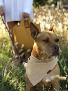 MANTA WINCA en internet