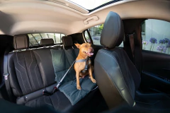 KIT AUTO - tienda online