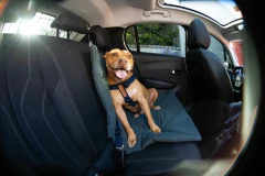 KIT AUTO - comprar online