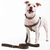 Banner de Woof