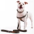 Banner de Woof