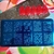 Placa de Stamping - Flores cod.D008