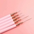 Set de pinceles Liner en internet