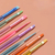 Set de 8 pinceles - Limon y Sal Nails
