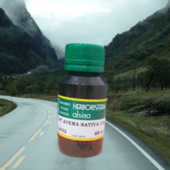 Tintura Madre Avena Sativa 60 ml - comprar online