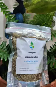 Artemisa Annua 50 Gr - comprar online