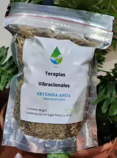 Artemisa Annua 50 Gr en internet