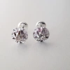 Aros abridores flor en Plata con Cúbic