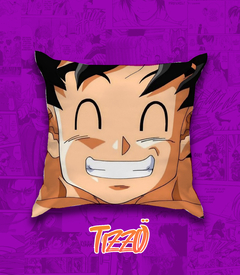 ALMOHADA DRAGON BALL 10