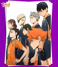 LAMINA HAIKYU 021 - buy online