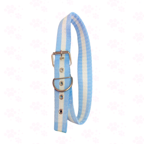 Collar de nylon para perros, color azul y blanco (linea mundial Argentina)