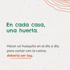 Kit de Huerta para todo el año: Semillas Agroecológicas (50 sobres) + 2 bandejas + sustrato + humus + jabón potásico + enraizante - MUNDO HUERTAS