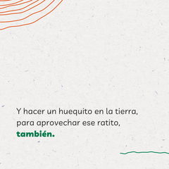 Kit de Huerta para todo el año: Semillas Agroecológicas (50 sobres) + 2 bandejas + sustrato + humus + jabón potásico + enraizante - tienda online