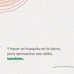 Kit de Huerta para todo el año: Semillas Agroecológicas (50 sobres) + 2 bandejas + sustrato + humus + jabón potásico + enraizante - tienda online