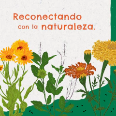 Kit con colección de semillas para todo el año - 50 sobres surtidos + Enraizante - MUNDO HUERTAS