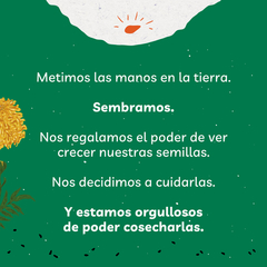 Kit de Huerta para todo el año: Semillas Agroecológicas (50 sobres) + 2 bandejas + sustrato + humus + jabón potásico + enraizante - comprar online