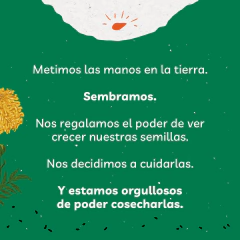 Kit con colección de semillas para todo el año - 50 sobres surtidos + Enraizante - tienda online