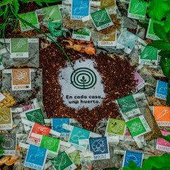 Kit con colección de semillas para todo el año - 50 sobres surtidos + Enraizante - MUNDO HUERTAS