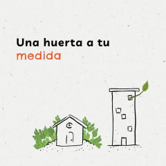 Kit con colección de semillas para todo el año - 50 sobres surtidos + Enraizante en internet