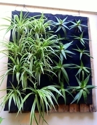 Jardinera vertical de Geotextil 100 cm x 100 cm