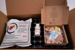 Kit de Huerta para todo el año: Semillas Agroecológicas (50 sobres) + 2 bandejas + sustrato + humus + jabón potásico + enraizante - comprar online