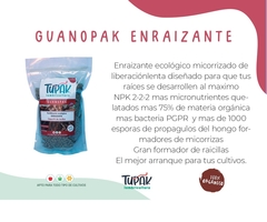 Pack 4 fertilizantes ecológicos x 500 g c/u - Para cada etapa del cultivo - comprar online